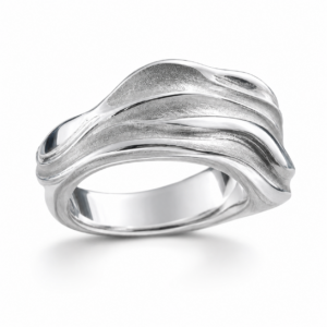 Lago Pehoé Ring